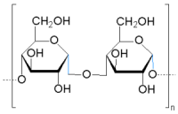 Amylose