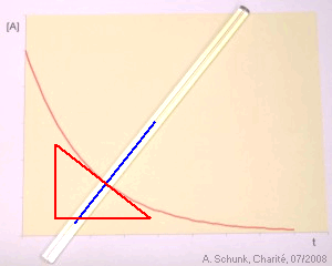 Experiment des Monats