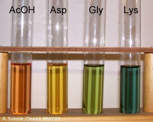 Experiment des Monats