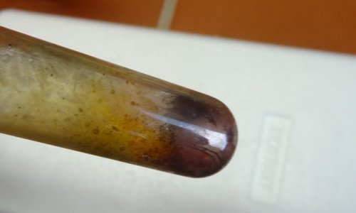 Experiment des Monats