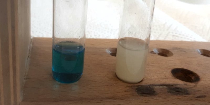 Experiment des Monats