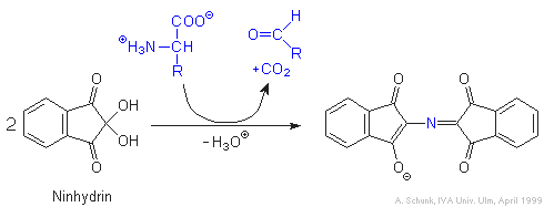 Ninhydrin