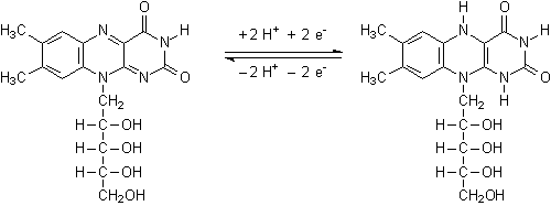 Riboflavin